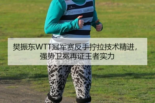 樊振东WTT冠军赛反手拧拉技术精进，强势卫冕再证王者实力
