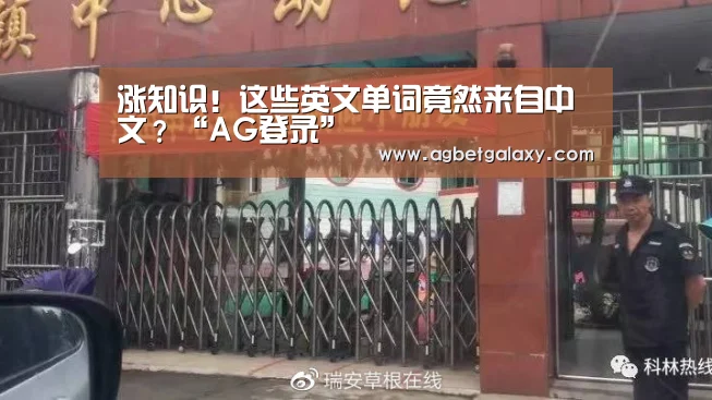 涨知识!这些英文单词竟然来自中文?“AG登录”(图3) AG体育