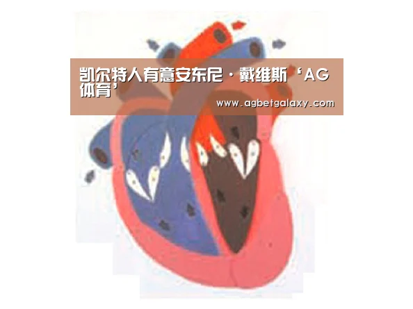 凯尔特人有意安东尼·戴维斯‘AG体育’(图1) AG体育